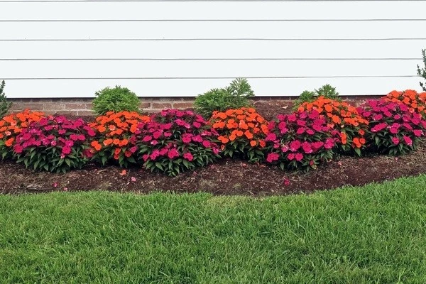 Reliable landscaping services Reliable landscaping services